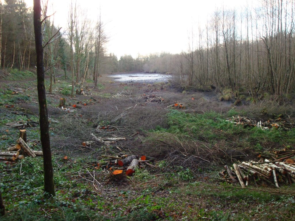 2014 travaux etang