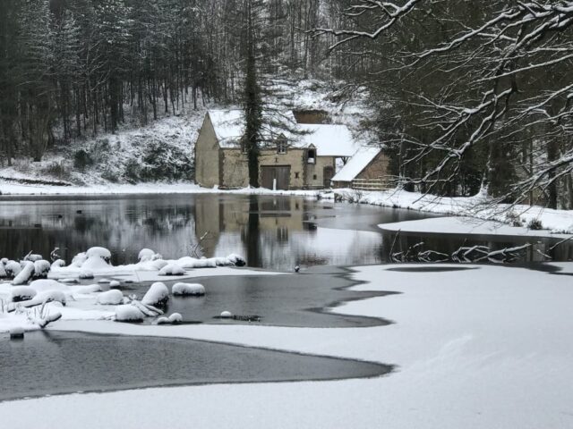 2013, hiver Etang de Brotz